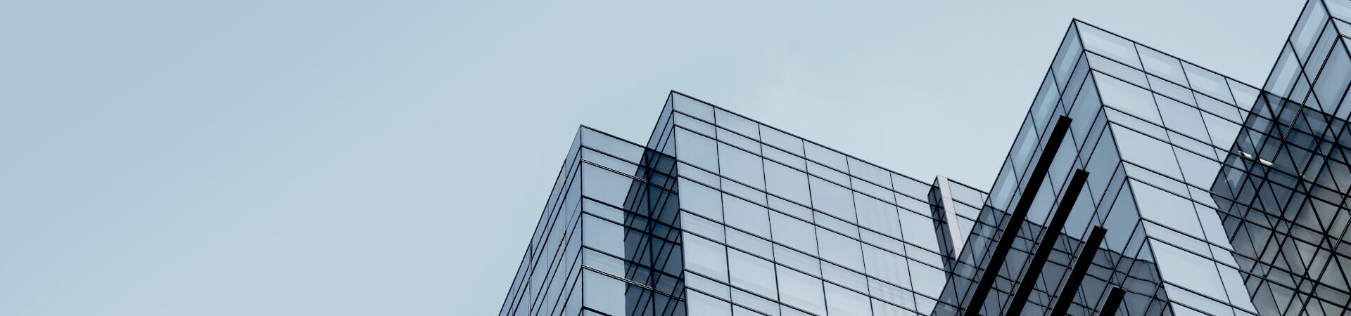 Organization Sizes